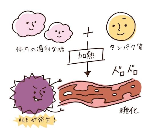 老化を進ませる糖化とは？