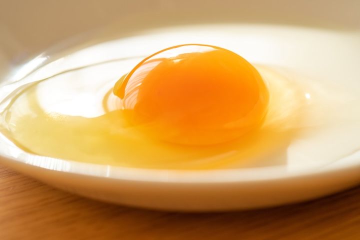 卵由来の血流改善素材「ランペップ」とは？ 含まれる成分や効果効能を解説