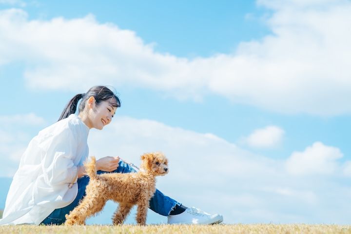 おすすめの犬種と飼う時期