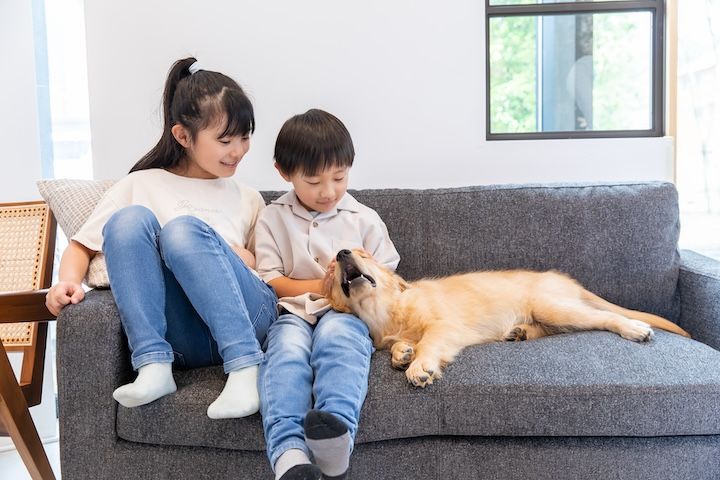 子どもと犬は相性が良い！ 犬を飼うことによる5つの影響