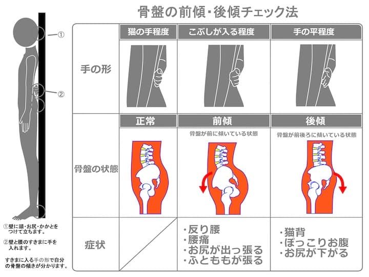 反り腰のセルフチェック方法