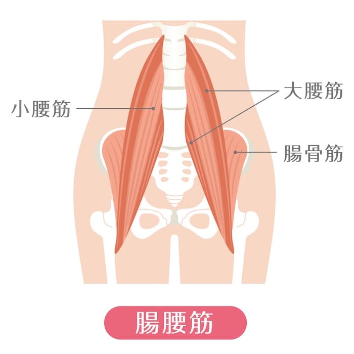 腸腰筋とは