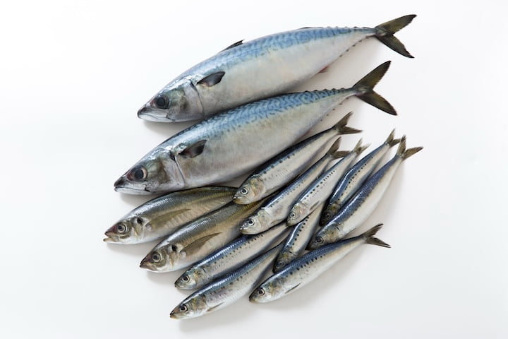 身体のサビを防いで代謝を上げる、油選びのモノサシ