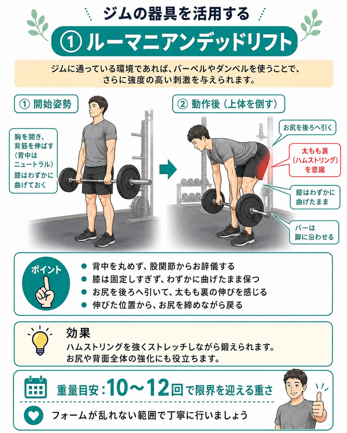 ジムの器具を活用するルーマニアンデッドリフトとレッグカール